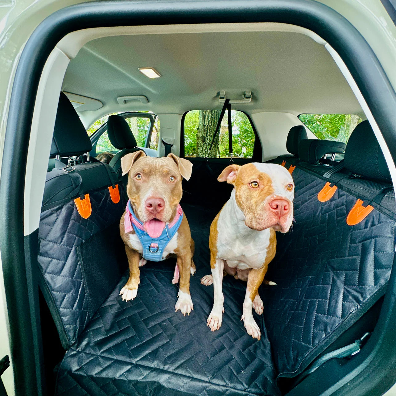 FurFort™ Backseat Cover/Extender for Dogs (Hard Bottom)